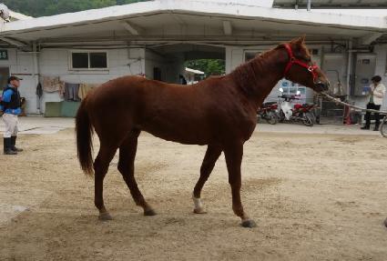 �ݾ����콺 ����