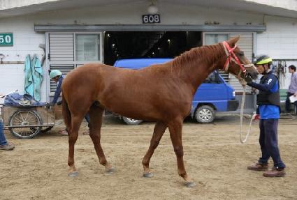 ������� ����