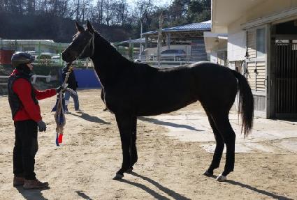 �����ű׳� ����