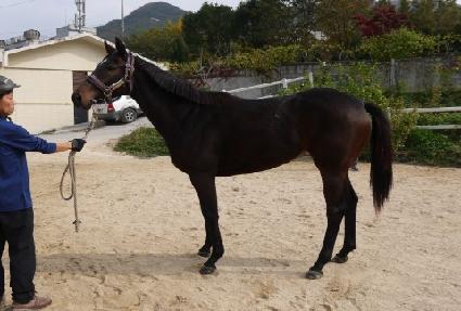 ������������ ����