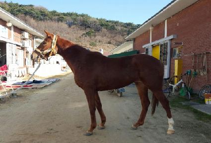 �¸��ϸ� ����