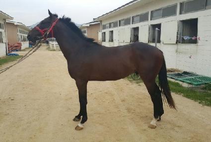 ��Ű�Ѹ� ����