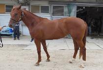 �������� (SEONGEUN MARU) ����