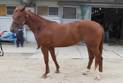 �������� ����