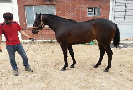 �ҿ� ����