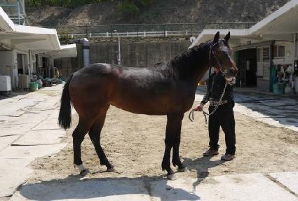 ����м� ����