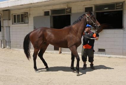 ������ ����