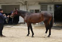 Ŭ��콺 (KLAUS) ����