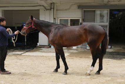 Ŭ��콺 ����