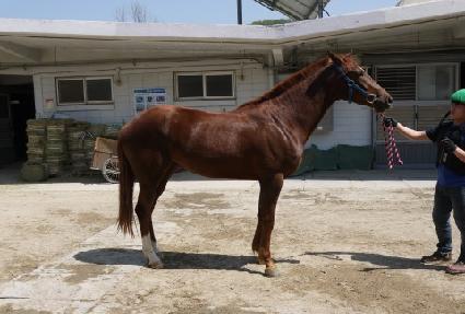 ����佺Ƽ�� ����