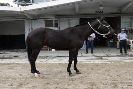 �ʶ�콺 ����