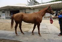 �ݺ��ε� (GEUMBIT ROAD) ����