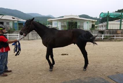 �˺����� ����