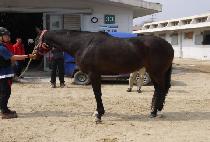 �������� (FOR MY HYEON) ����