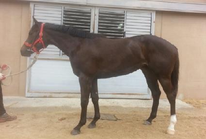 ���ҿ����� ����