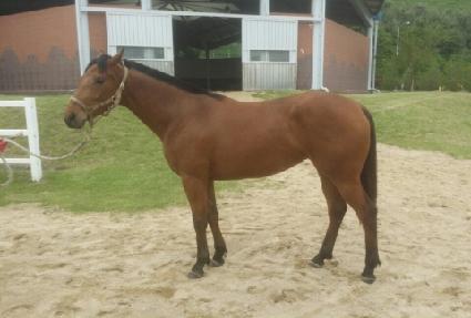 ���۵ȱ��� ����