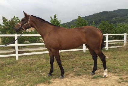 �ؿ� ����