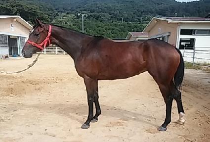 �ػ罺���� ����