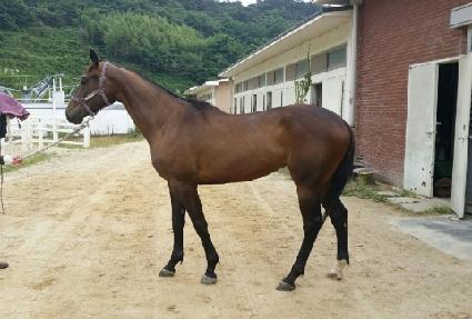 �������� ����