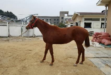 �ݺ�ȯȣ ����