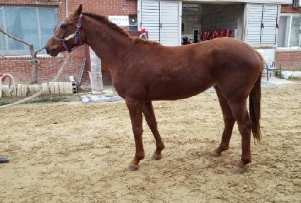 �ΰ濩�� ����