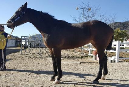 ������� ����