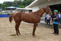 â�� (CHANGYOUNG) ����