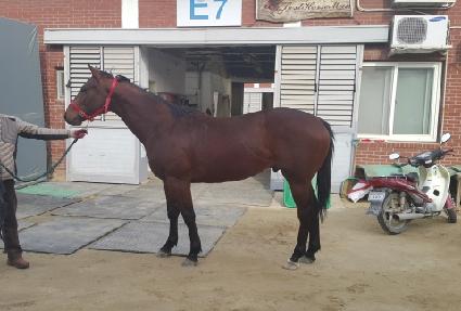 ���պ��� ����