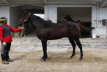 ���Ͼӻ�� ����