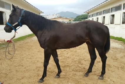 ��弱 ����