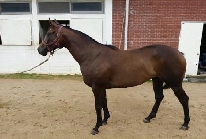 ��Ű�� ����