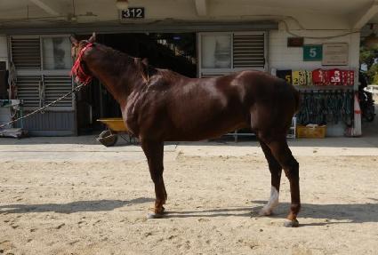 ���� ����