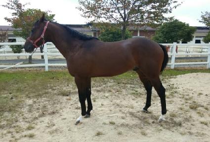 �Ƹ��ٿ�� ����