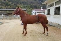 ���丮���� (VICTORY DAY) ����