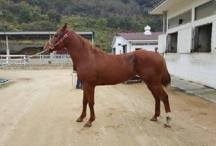 ���丮���� ����