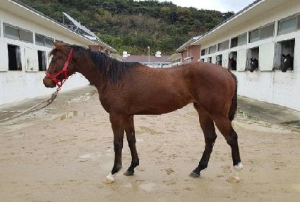 �������ְ� ����