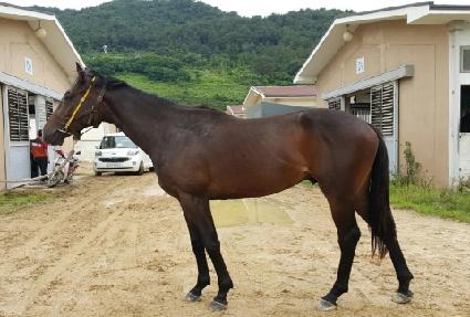 �������� ����