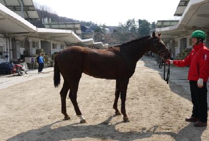 �帲�� ����