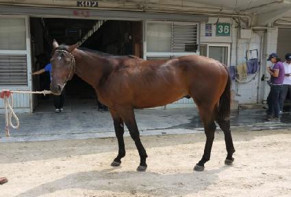 ����Ű��Ÿ ����