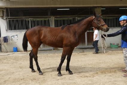 Ʈ����è�� ����