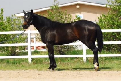 ��Ű���� ����