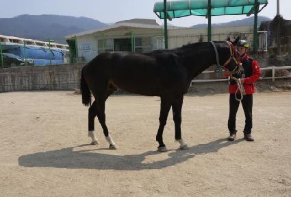 �����ŷ ����