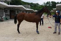 ���� (AUBAINE) ����