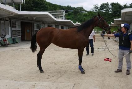 ���� ����