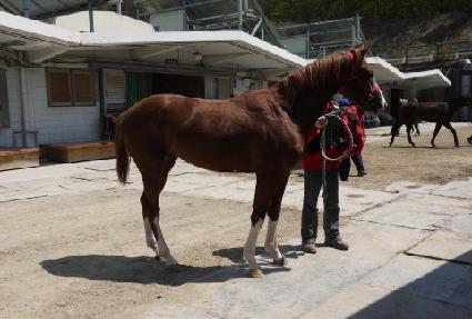 ������帲 ����