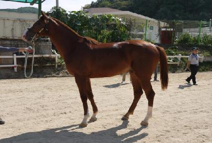 �������� ����