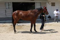 ���ѻ�ɺ� (DAEHAN SARYEONGBU) ����