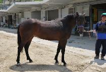 ���̽����� (NICE ANGEL) ����