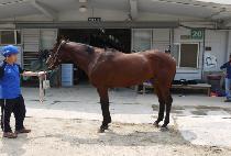 ����ġ���� (FRENCH MUSIC) ����