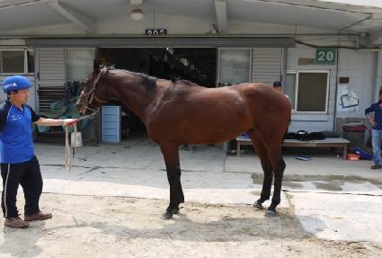 ����ġ���� ����